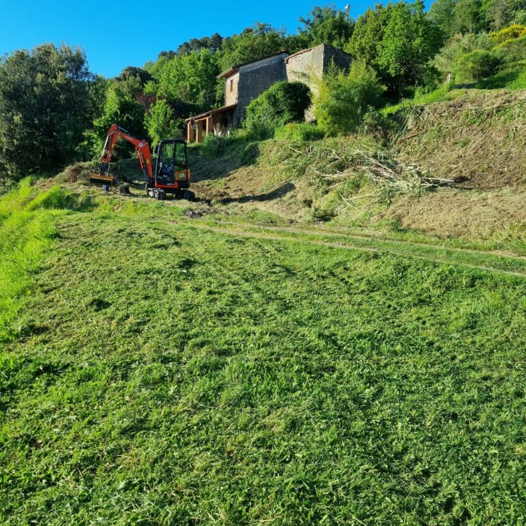 Campo con trinciatutto