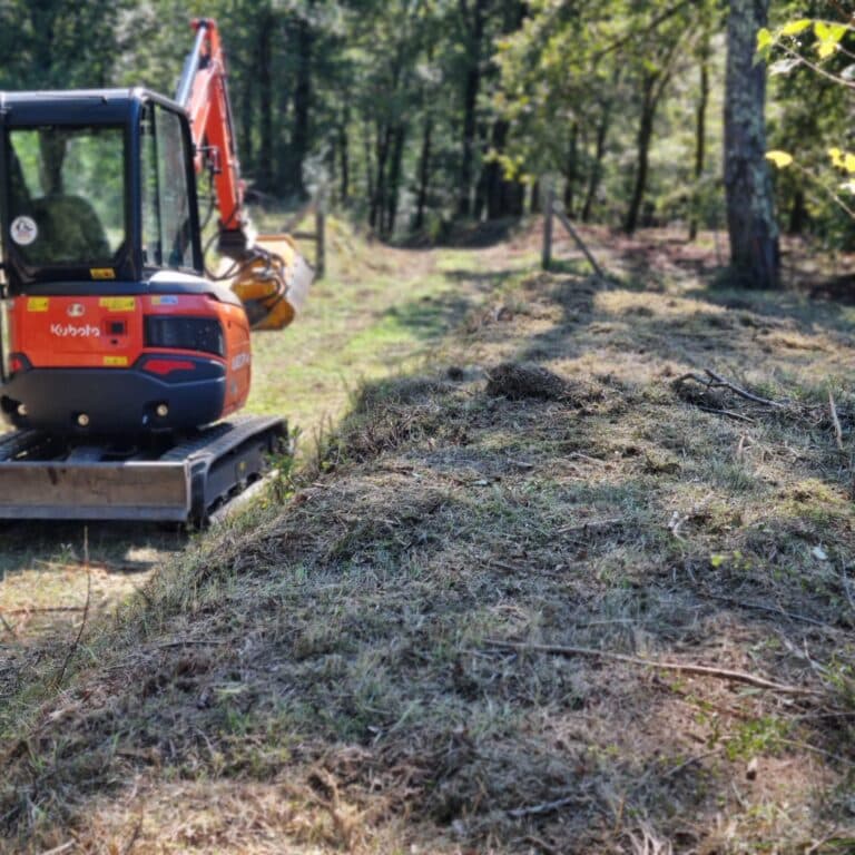 Pulizia Trinciatutto Bosco